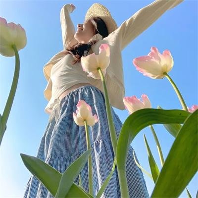 破坏性计划